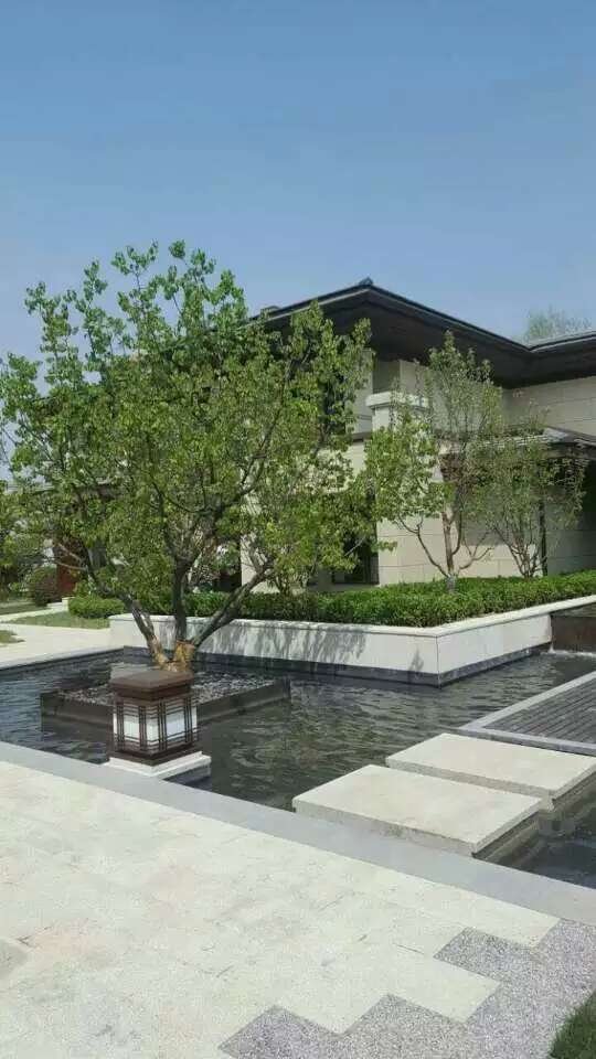 路劲国际城项目相册